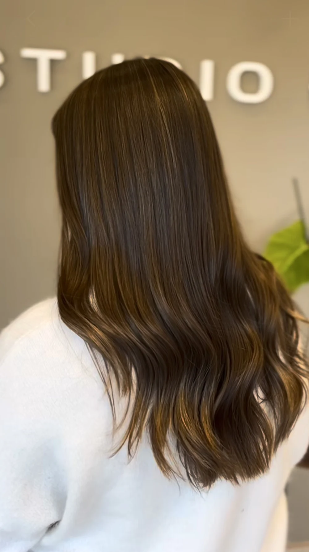 Pelo castaño liso con reflejos, trabajo de Estudio D